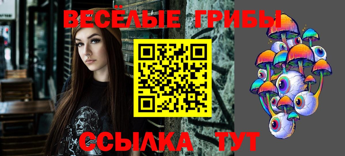 Чернушка  Галлюциногенные грибы прущие грибы  Вход с VPN 