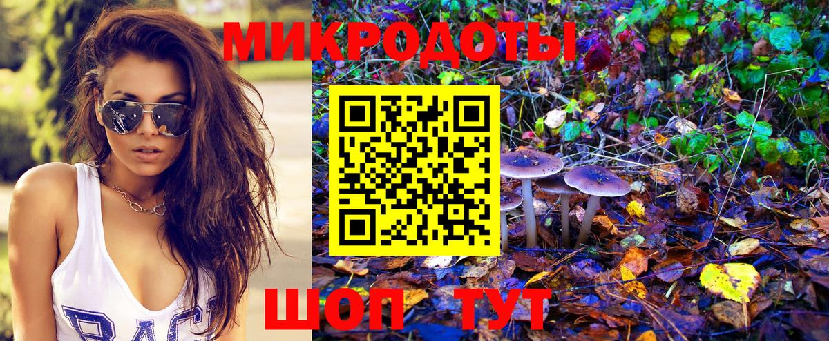 Псилоцибиновые грибы ЛСД Чернушка